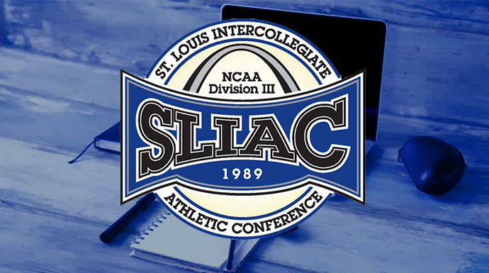 SLIAC Accepting Applications For Internships