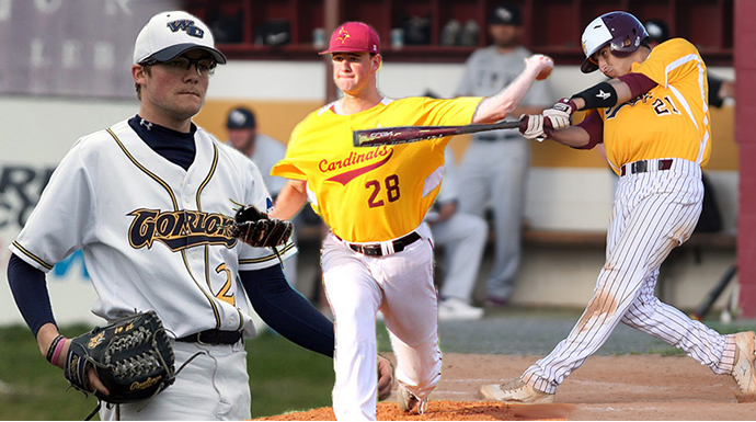 Fleming Top Pitcher In D3; Two More Named To All-America Team