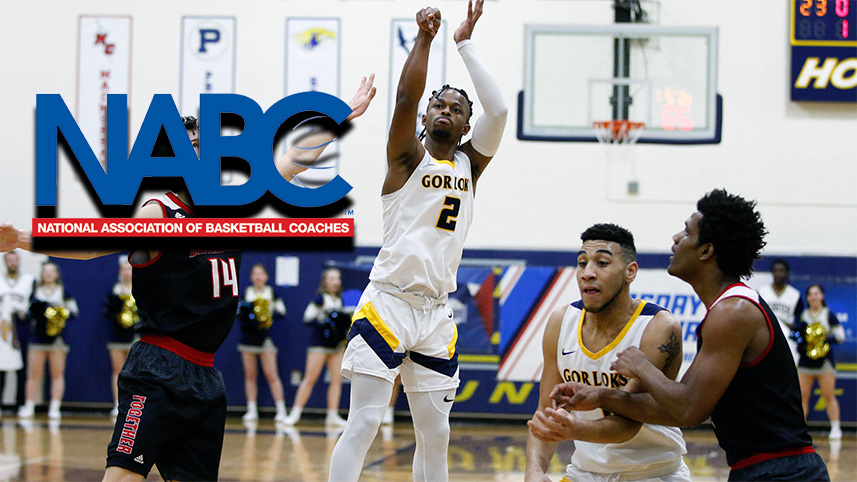 Webster's Johnson Named NABC All-District