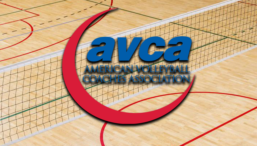 Four Teams Receive AVCA Team Academic Award