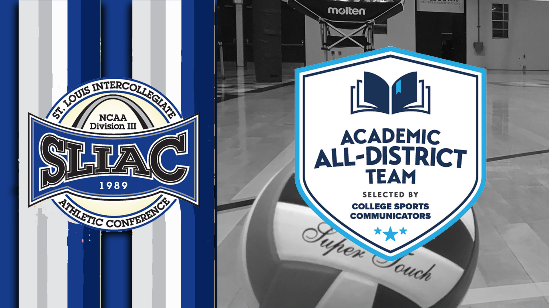 Nine Named Academic All-District in Volleyball